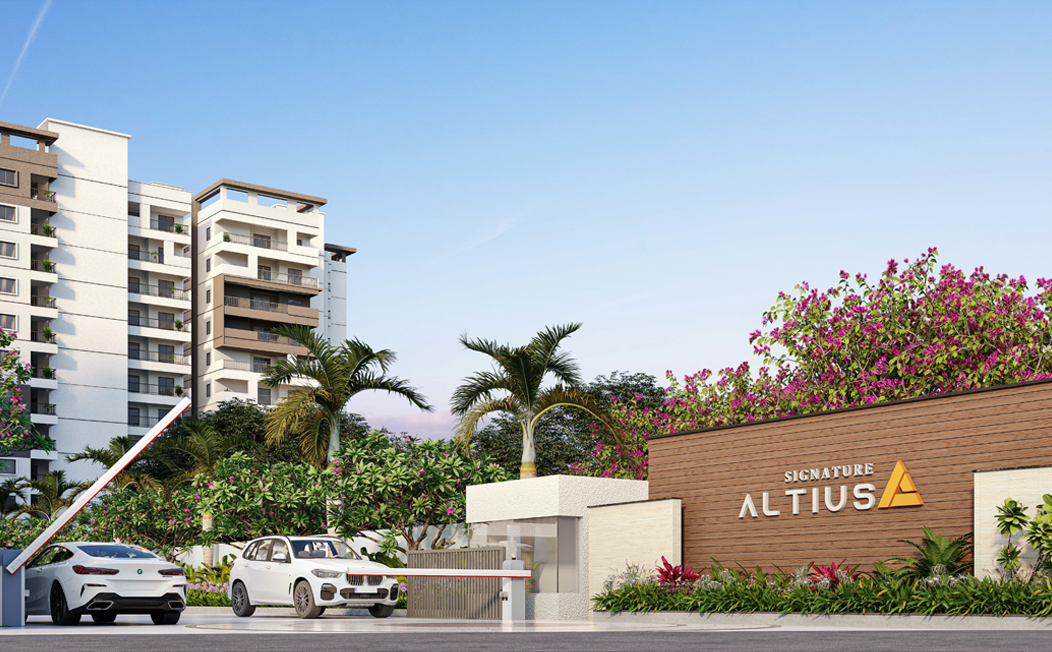 Myron Dynasty image 1